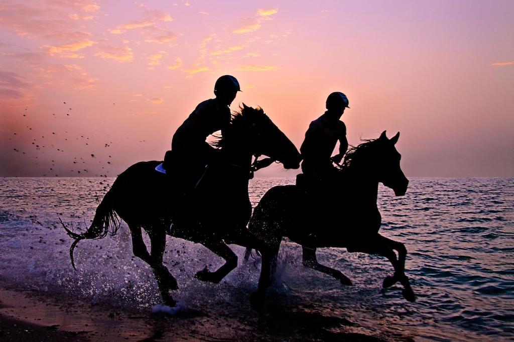 Zahr Anantara Sir Bani Yas Island Al Sahel Villas מראה חיצוני תמונה