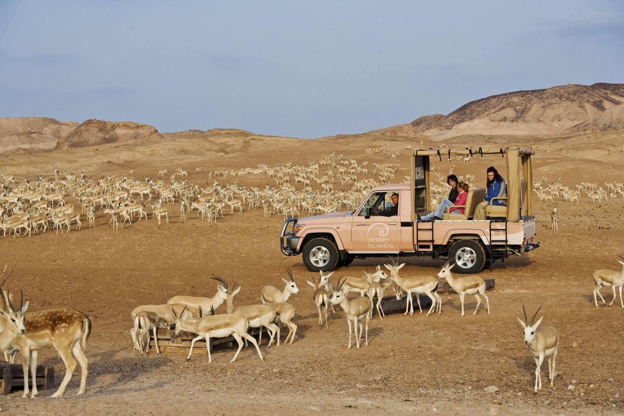 Zahr Anantara Sir Bani Yas Island Al Sahel Villas מראה חיצוני תמונה