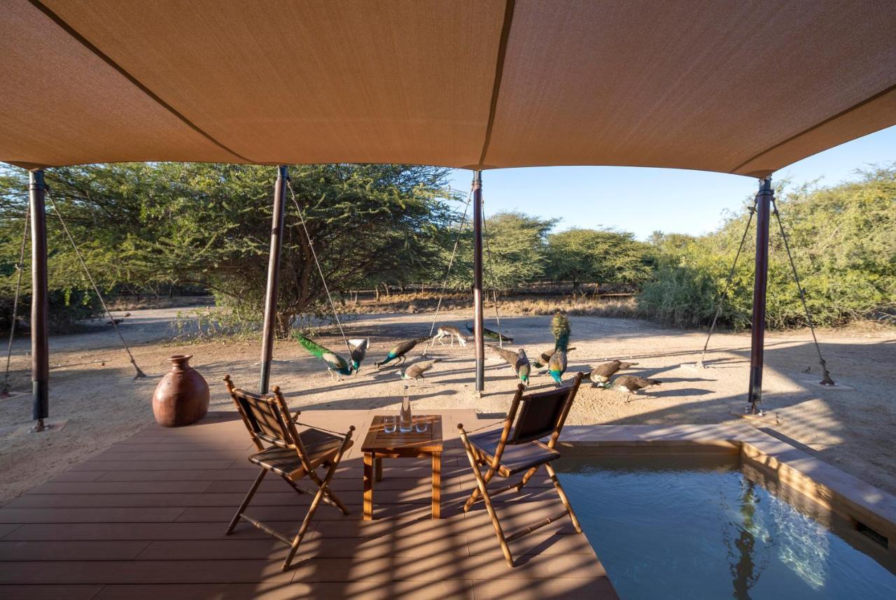 Zahr Anantara Sir Bani Yas Island Al Sahel Villas מראה חיצוני תמונה